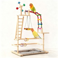 Parrot Bird Wooden Playground