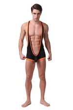 Other Male Mesh Wrestling Suit With Backless Detail in Classic Black