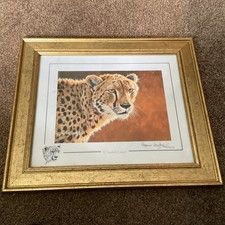 CHEETAH  STEPHEN GAYFORD