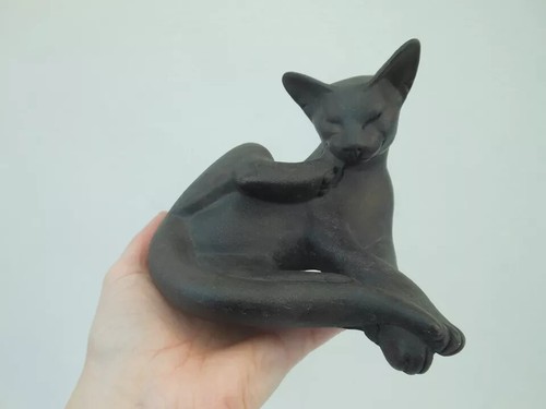 Suzie marsh cat - suzie,