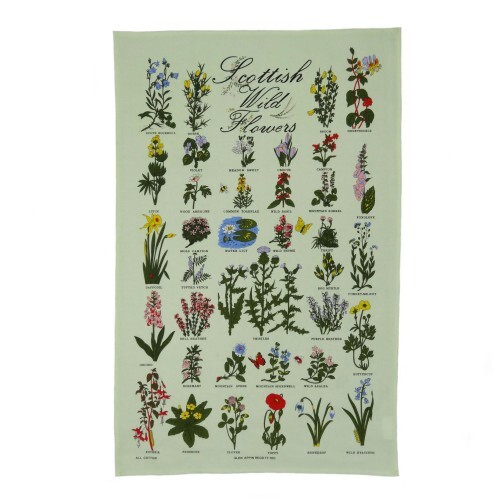 Scottish traditional wild - scottish,