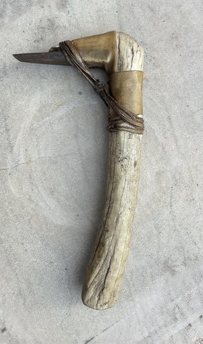 Northern plains native - northern,