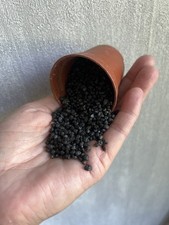 Black Gravel Small Stone Plant