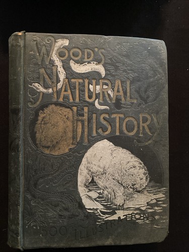 Wood natural history - wood's,