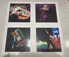 Madonna Red Collection Limited