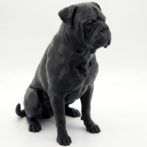Bull mastiff dog sculpture - ,