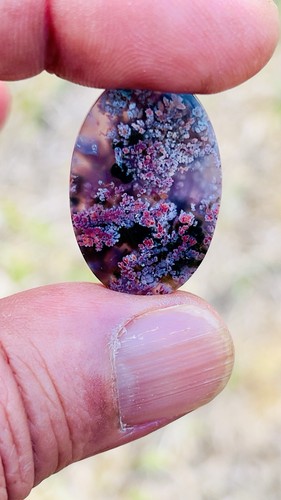 Natural plume agate - natural, cabochon