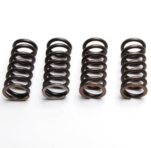 Ebc clutch spring set - clutch,