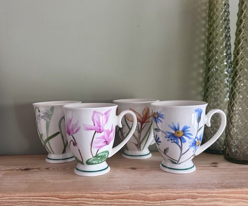Portmeirion studio botanical - portmeirion,