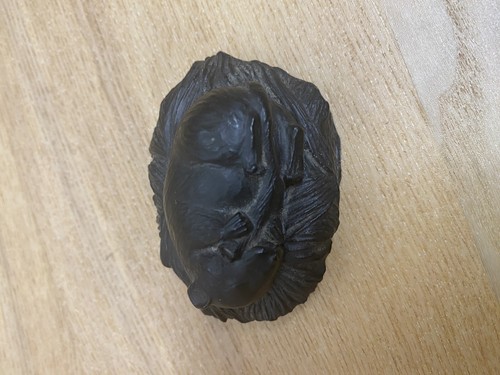 Classique sleeping mouse - classique,