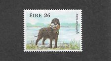 DOGS IRISH WATER SPANIEL1983 IRELAND PETS NATURE (560)