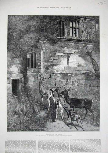 Old antique print - print, waller