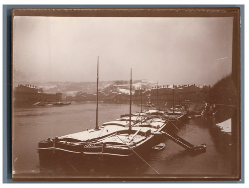 Vintage citrate print - citrate,