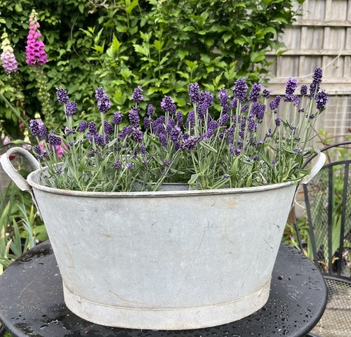 Vintage galvanised oval bath - vintage,
