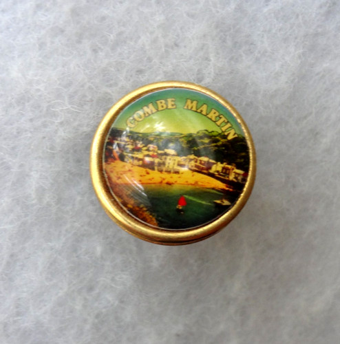 Combe martin vintage pin - vintage,
