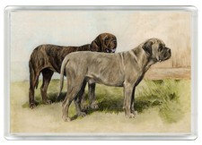 MASTIFF DOG FRIDGE MAGNET