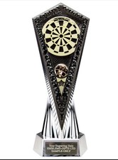Darts 180  Award 270mm Inferno