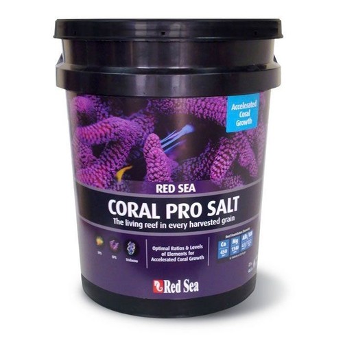 Red sea coral - pro, marine