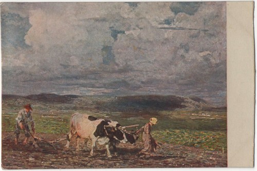 Postcard ploughing rural - postcard,