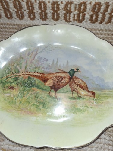 Dresden pottery ringneck - pottery,
