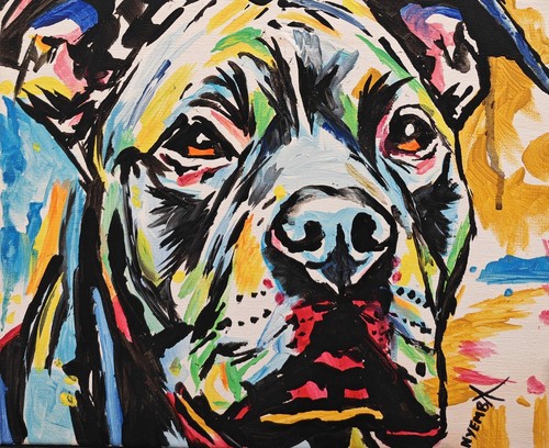 Original american bully - original,