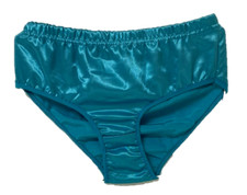 Satin Knickers Panties Briefs
