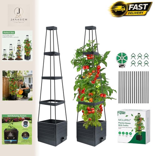 Inch self watering - self-watering, tomato