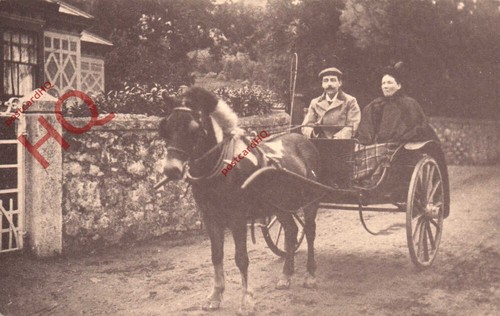 Picture postcard pony trap - picture, &
