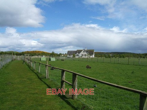 Photo black isle wildlife - ,