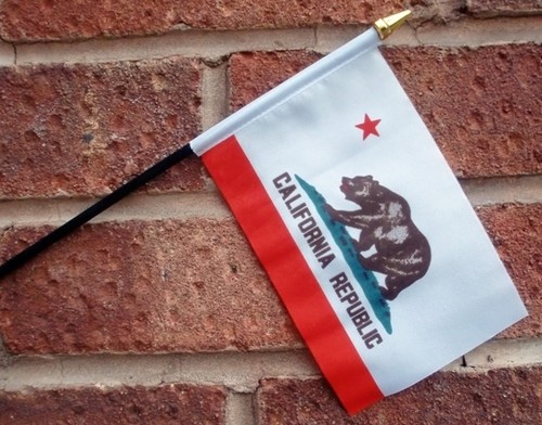 California hand waving flag - hand,