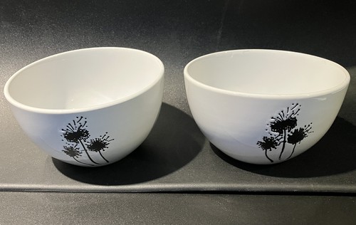 Pair trade winds tableware - trade,