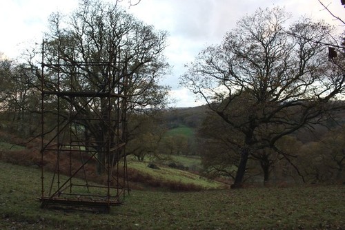 Photo 6x4 grassland - 6x4,