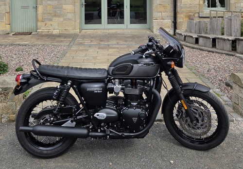 Triumph fox oem shock - ,
