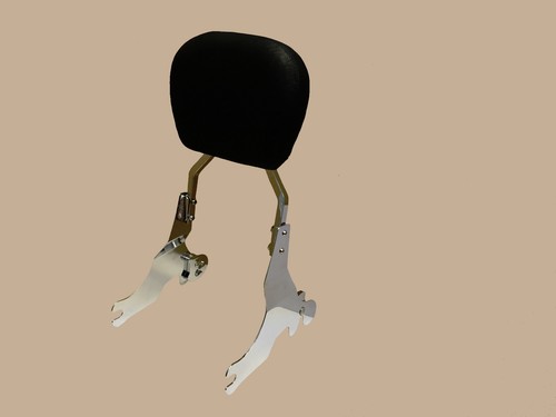 Quick detachable sissy bar - detachable,