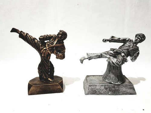 Karate martial arts trophy - karate,