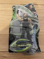 2004 Jakks Pacific SummerSlam