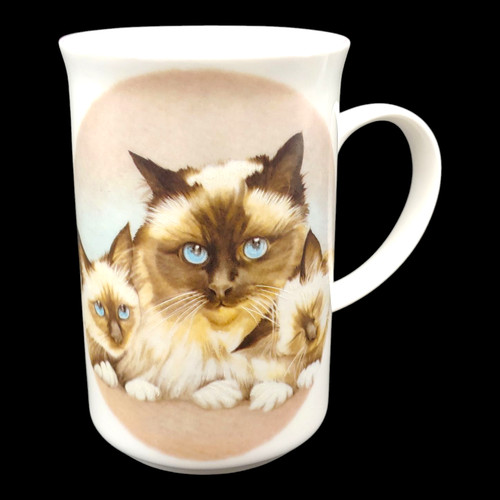 Birman cat kittens - birman, tea