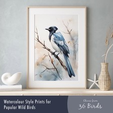 Watercolour Bird Prints –