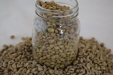 Green Coffee Beans RAW Uganda