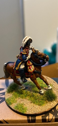 28mm painted napoleonic french - 28mm,