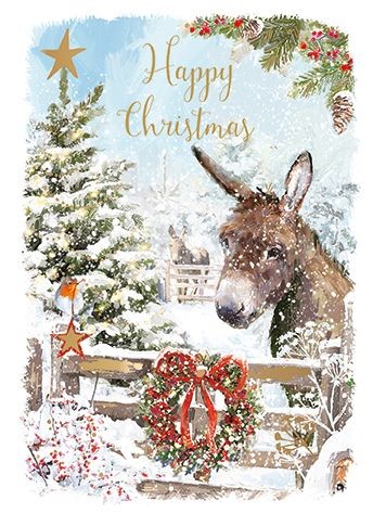 Christmas card donkey in the - card,