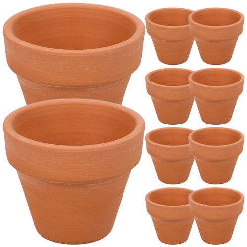 10pcs small succulent - 10pcs, flower