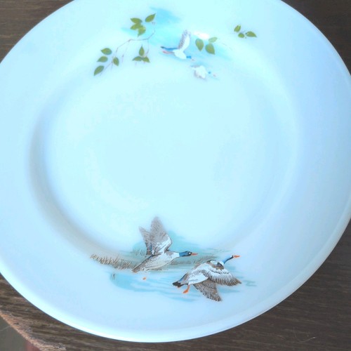 Vintage jaj pyrex wild - vintage,
