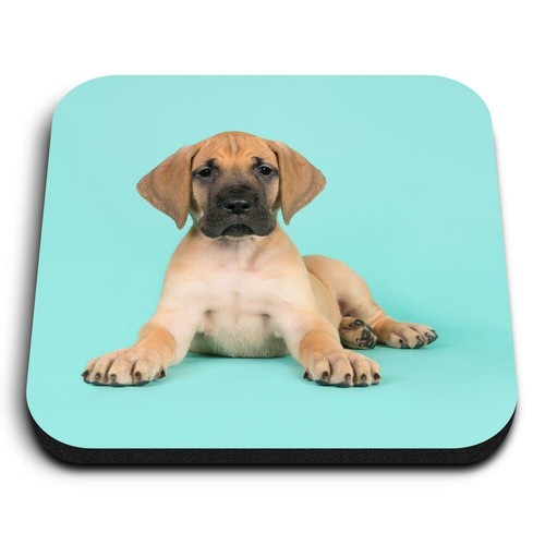 Square mdf magnets great - square,