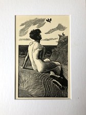 Vintage wood engraving print , C F TUNNICLIFFE - Boy and Swallows, mounted. 1933