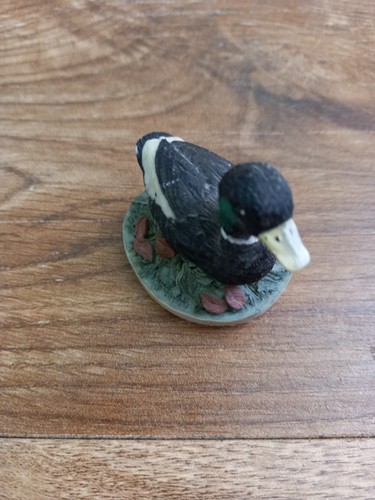 Collectible tetley tea duck - tea,