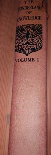 The wonderland knowledge - the,