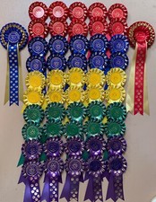 Dog Show Rosettes 10 x 1st to