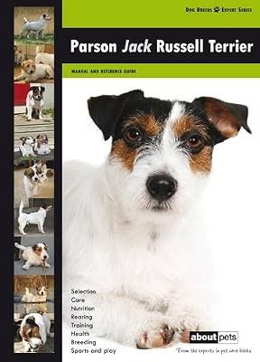 Parson jack russell - parson, terrier