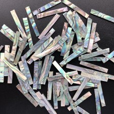 40x New Zealand Abalone Shell